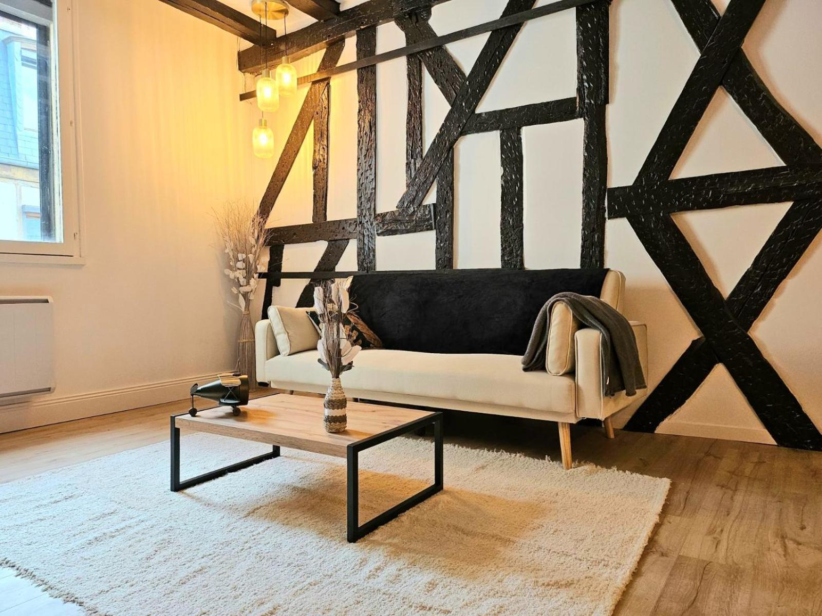 La Dame Blanche - Appartement Hypercentre Historique Bourges Eksteriør billede
